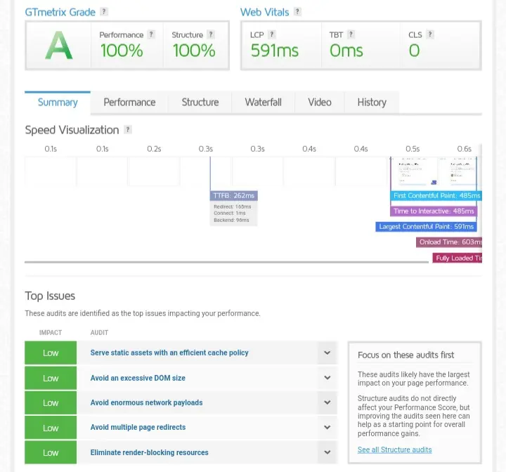 GTmetrix report