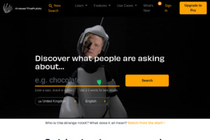 AnswerThePublic