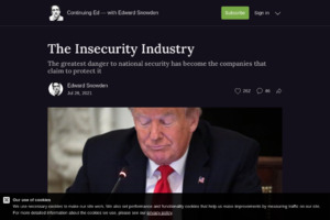 The Insecurity Industry
