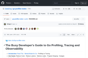 The Busy Developer's Guide to Go Profiling, Tracing and Observability